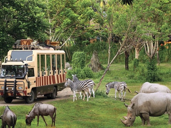 Bali Safari &amp; Marine Park
